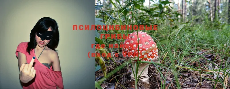 Галлюциногенные грибы Magic Shrooms  что такое   Лянтор 